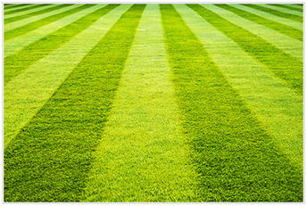 How to clean artificial grass? What are interesting tips and methods to clean the artificial grass?