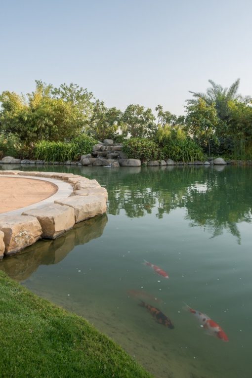 What Is Waterscape Landscaping
