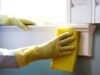 Mold Extermination Services in Burien: Finding Trusted Professionals Mold Extermination Services