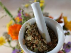 Women’s Spas: A Holistic Approach to Health and Relaxation Holistic Approach