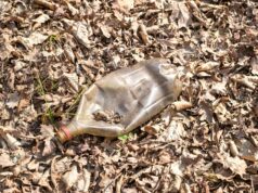 Sustainable Campuses: Leading the Charge in Environmental Responsibility Environmental