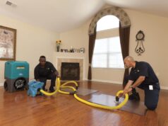Water Damage Restoration Tips for Homeowners: What You Can Do Water Damage Restoration