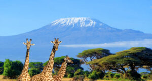 Kenya’s Most Photogenic Places: A Visual Delight for Travelers Kenya