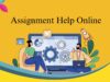 Understanding Key Concepts in Modern Educational Theories Online Assignment
