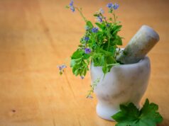 Herb Era: Rooted in Nature, Committed to Wellness Herb Era