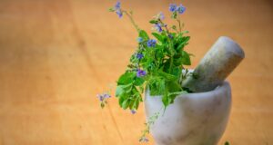 Herb Era: Rooted in Nature, Committed to Wellness Herb Era