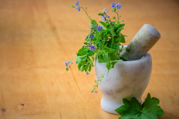 Herb Era: Rooted in Nature, Committed to Wellness Herb Era
