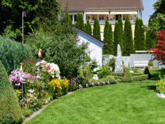 Understanding the Role of a Landscape Designer in Sustainable Outdoor Projects Landscape Designer
