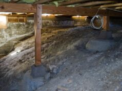 Crawl Space Mold vs. Basement Mold: What’s the Difference? Crawl Space