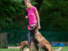 How Working Dog Training Builds Reliable Performance Under Pressure Working dog training