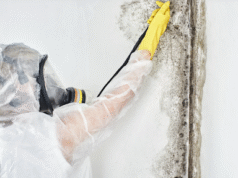 How Mold Removal Experts Protect Homes from Future Mold Growth Protect Homes