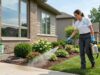 What’s That Smell? Identifying Pests By Odor Alone Pests Odor